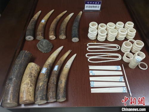 水口海關(guān)向林業(yè)局移交走私動(dòng)物制品，加強(qiáng)生物資源保護(hù)執(zhí)法合作